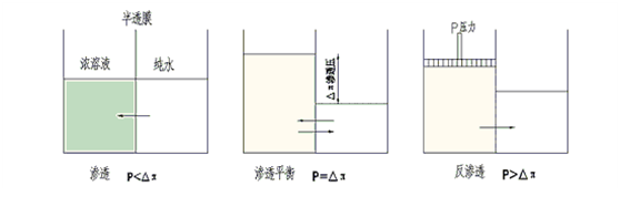 1630979652519585.png 5f6493084d7054f810cc5a41a313464.png