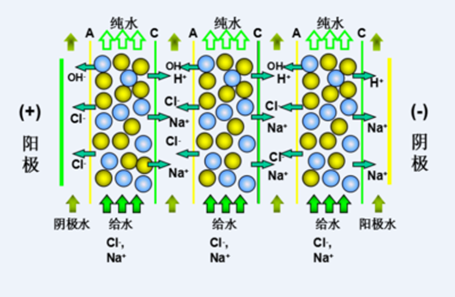 1641362928994556.png 6_副本.png