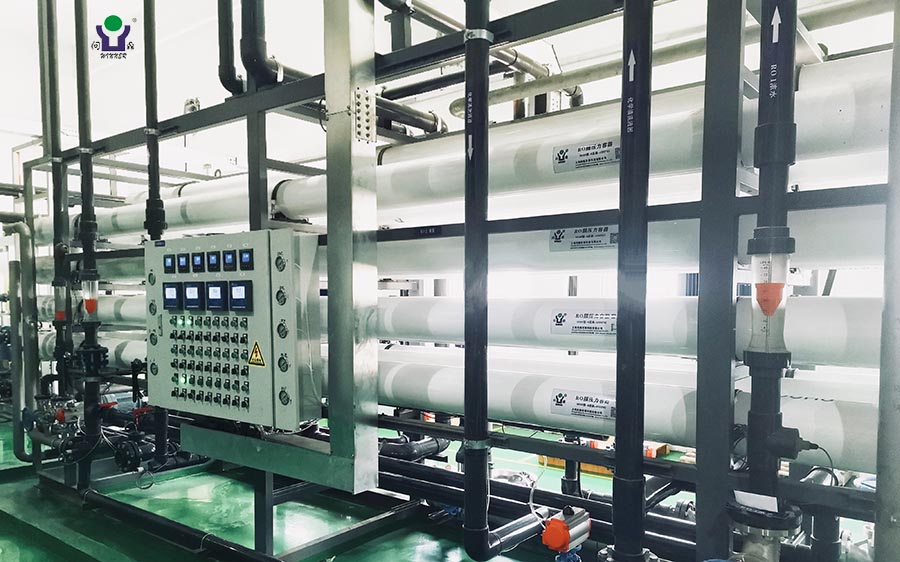 1646102967188364.jpg 2.jpg