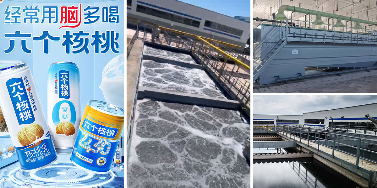 1734596306509362.jpg ÍøÕ¾Í¼Æ¬Ä£°å.jpg